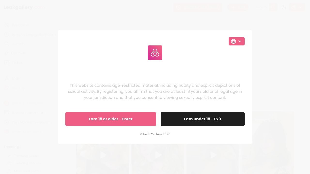 LeakGallery